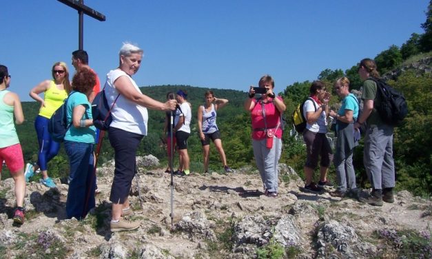 2018.05.06. CARDEA 11 km Teljesítménytúra