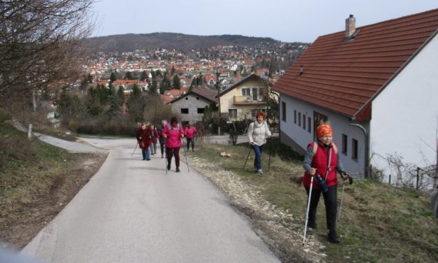 2018.04.04. Isaszeg helyett – Nagykovácsiból Hűvösvölgyig