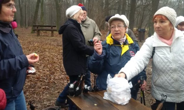 2018.01.11. Péterhalmi erdő