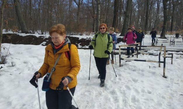 2018.03.10. Normafától a Budakeszi Vadasparkig