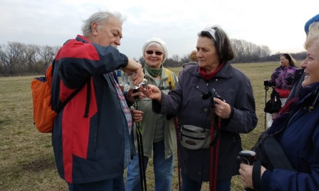 2018.03.26. Itt a tavasz – a Kórháznál