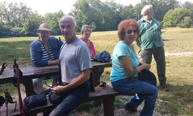 2018.05.10. Péterhalmi erdő