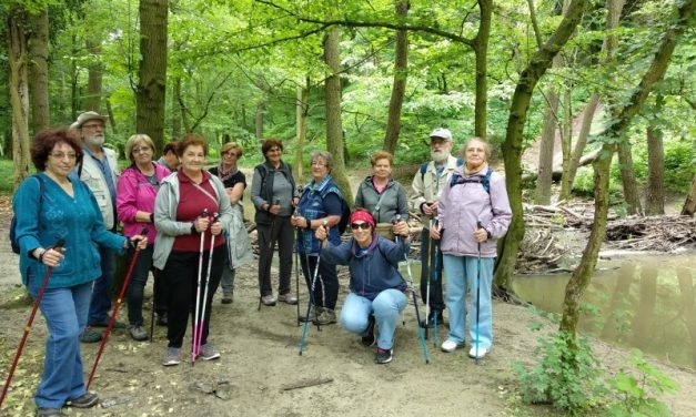 2018.05.18.-20. Bakony, Gaja patak