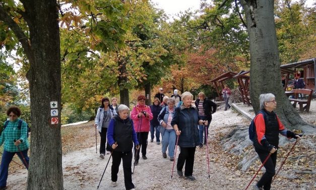 2018.10.18. WWD3 – Normafa kör 3.3