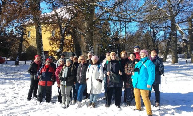 2019.01.06. Normafa-Makkosmária-Frankhegy