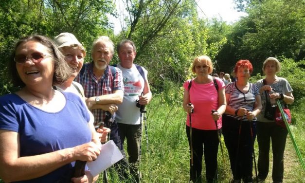 2017.05.20. Merzse mocsár