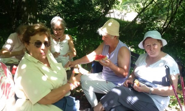 2017.06.24. A Soroksári Botanikus Kertben