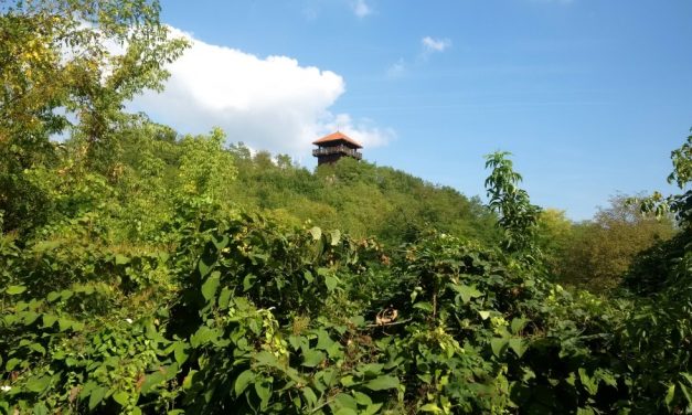 2017.09.30. Bejárás – Solymár