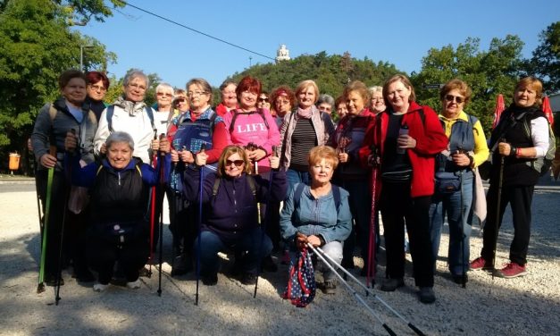 2017.10.02. Normafánál – 2. kisérlet