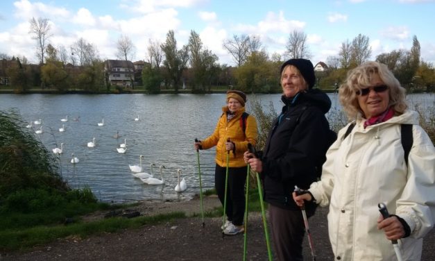 2017.10.30. Molnár sziget -> Csepel