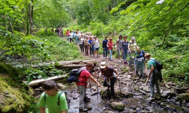2018.05.12. Pilisszentlászlótól Visegrádig