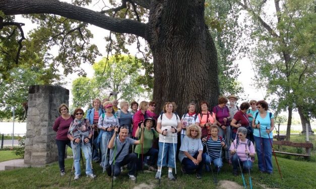 2018.06.23. Évadzáró – Dömsöd