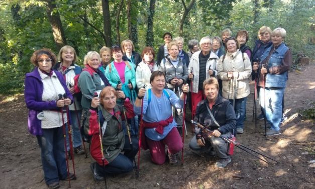 2018.10.04. WWD 1 – Világ Gyalogló Nap – Péterhalmi erdő