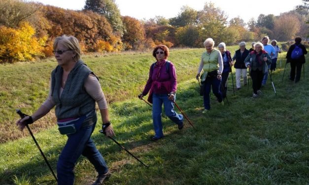 2018.10.15. WWD – Nw4 – Kórháznál