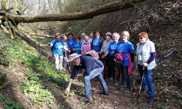 2019.03.29.-31. Tavasz a Bakonyban – Bakonybél