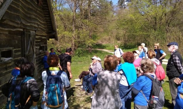 2019.04.18. Tata – most nem vadlúd nézőben