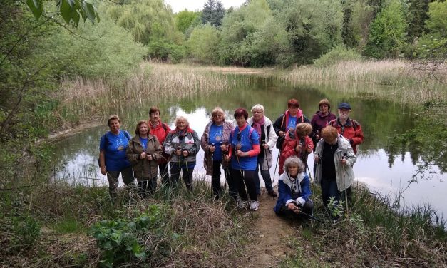 2019.04.27. Soroksári Botanikus Kert – Zergevirág keresőben…