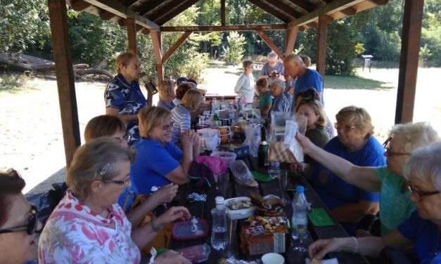 2019.09.05. ÉVADNYITÓ PIKNIK A KAMARAERDŐN