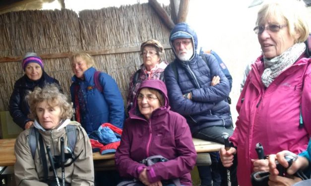 2019.11.08. ESTI VADLIBAHÚZÁS A DINNYÉSI FERTŐNÉL