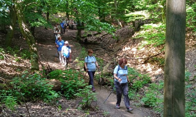 NADAP-SUKORÓ, 2021. JÚNIUS 7.