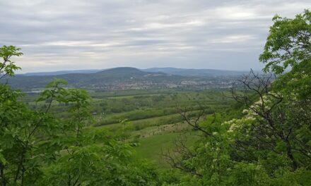 Kétbükkfa-nyereg – Fekete-hegy- Kétágú-hegy – Pilisszentlélek, 2026.április 14.