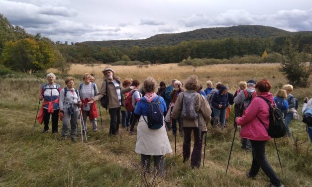 2019.10.10. KIRÁLYRÉT – KIRÁLY-RÉT – KIRÁLYRÉT (WWD 2019)