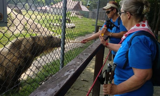 2019.06.19. VERESEGYHÁZI MEDVEOTTHON ÉS TÓKERÜLÉS