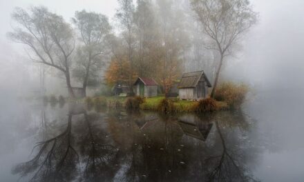 Séta a sződligeti Mesetó környékén, 2025.szeptember 27.