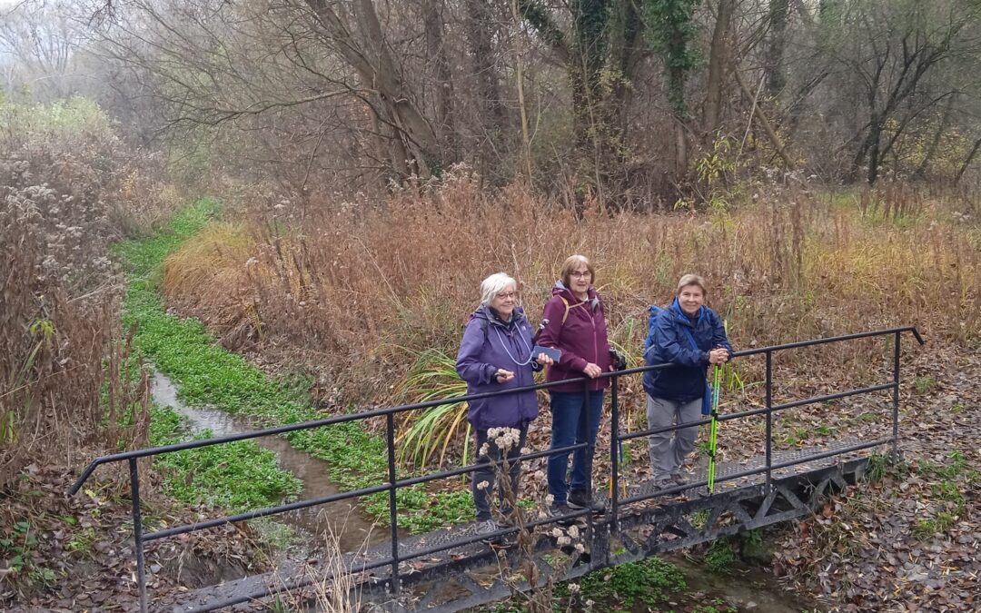 Fót – Alagi major – Dunakeszi, 2026. március 28., szombat