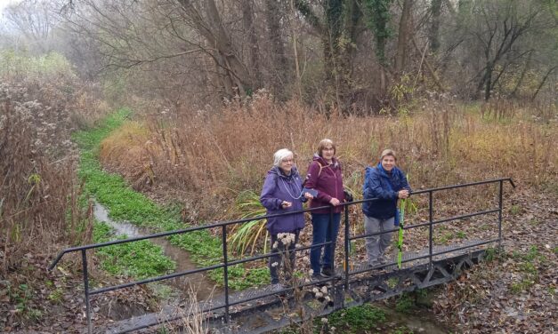 Fót – Alagi major – Dunakeszi, 2026. március 28., szombat