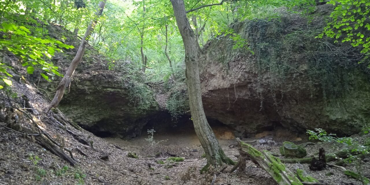 Évadnyitó a Szarvas-ároknál, 2025.szeptember 9.