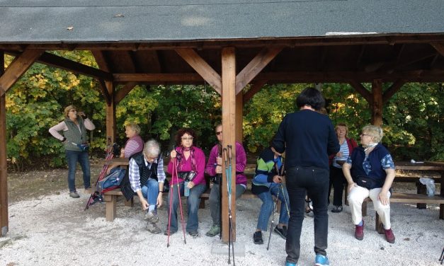 2018.10.11. WWD – Nw3 – Péterhalmi erdő